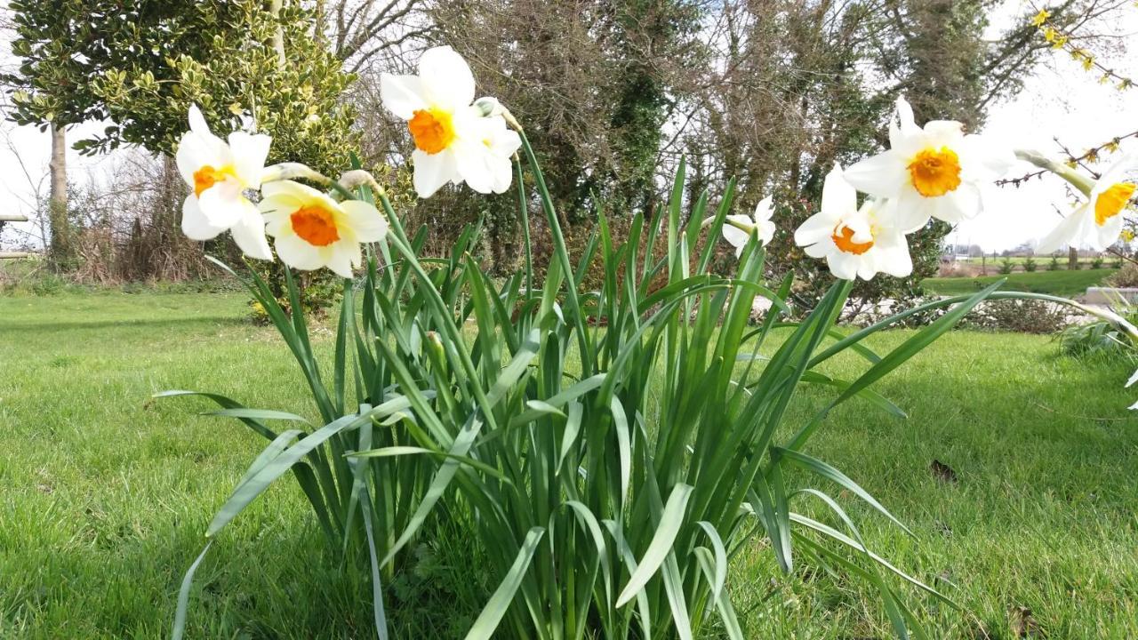 Manoir De La Ville Marie Hirel ภายนอก รูปภาพ